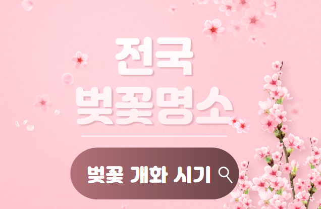 전국 벚꽃 명소