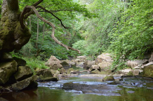서울 근교 계곡 여행지 추천 &ndash; 도심 속 피서, 당일치기로 즐기는 자연 힐링