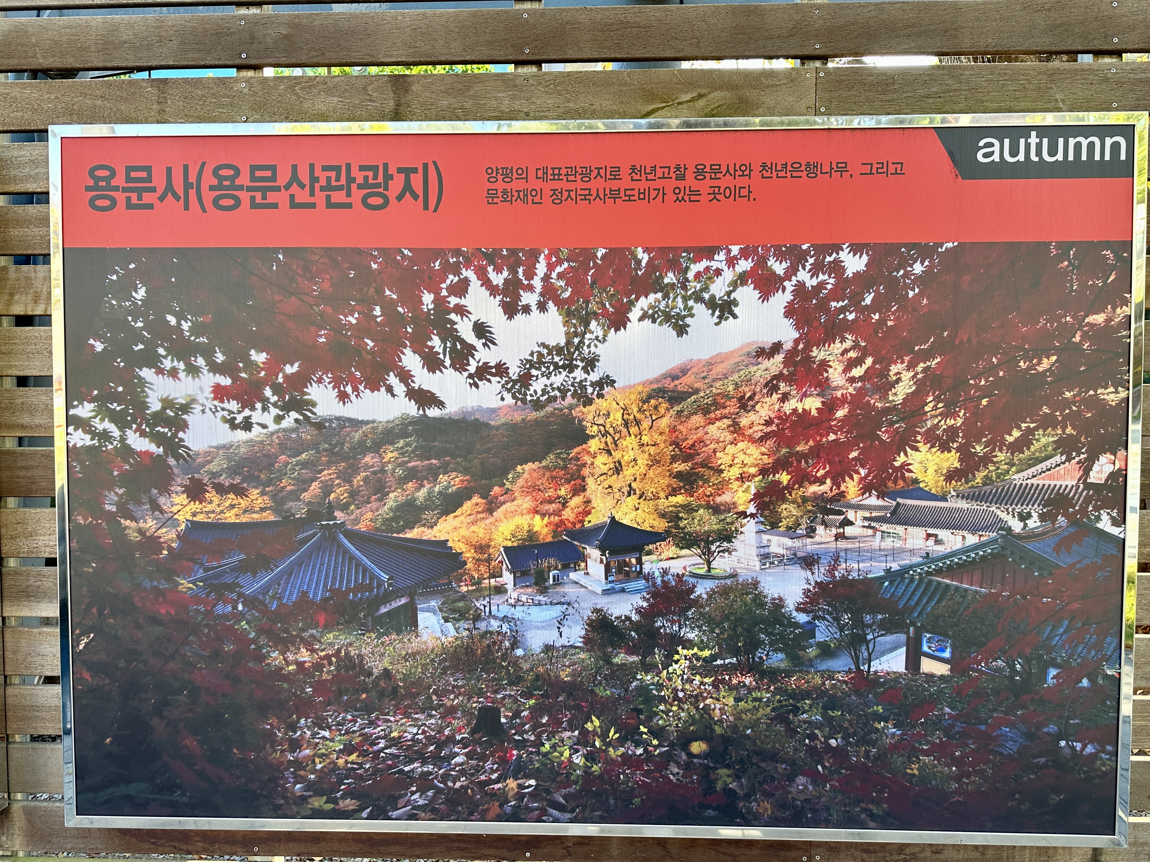 용문사 용문산관광지