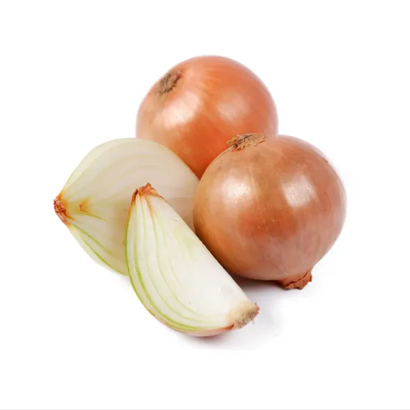 양파 수확시기_6