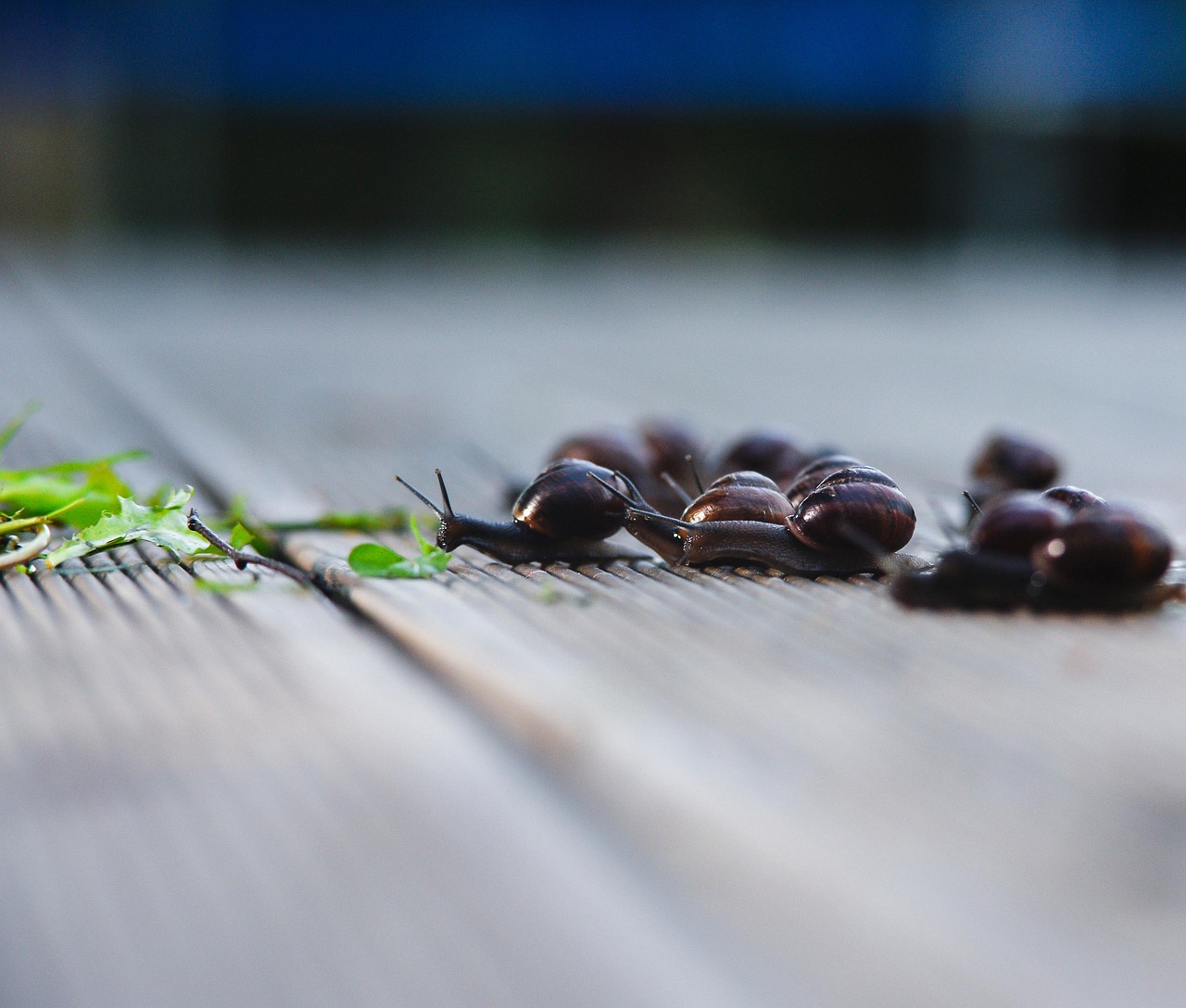 느림을 표현한 사진