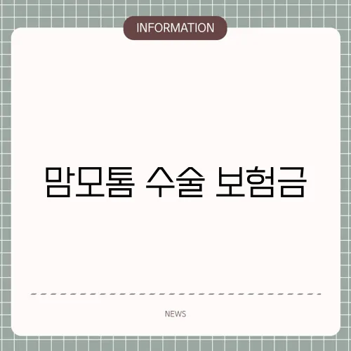 맘모톰 수술 보험금