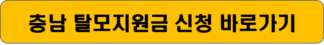 탈모