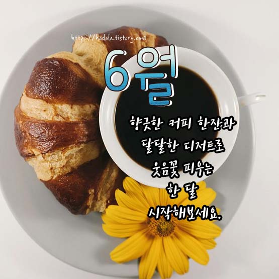 웃는한달