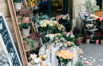 꽃집 창업에 대하여 알아보기