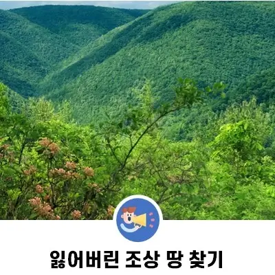 조상 땅 찾기