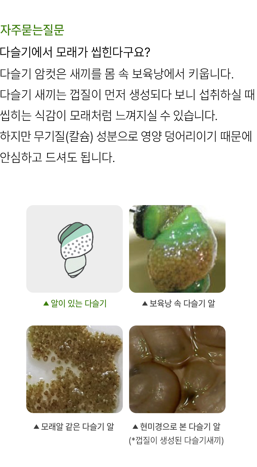 다슬기 즙