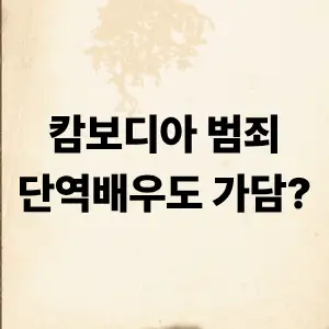 캄보디아 범죄 단역 배우 가담