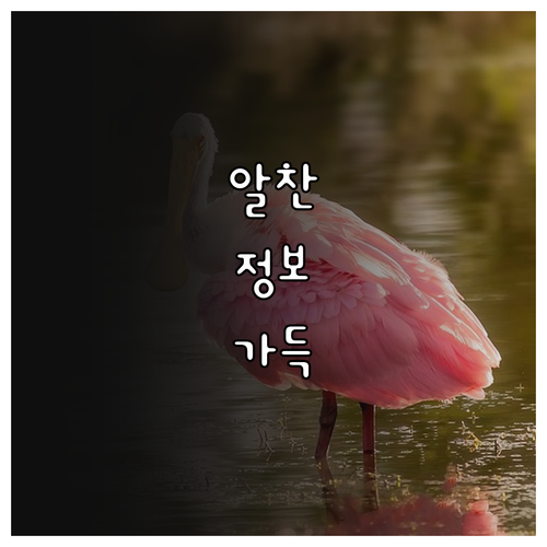 2025 인천 반려동물 광견병 접종 ..