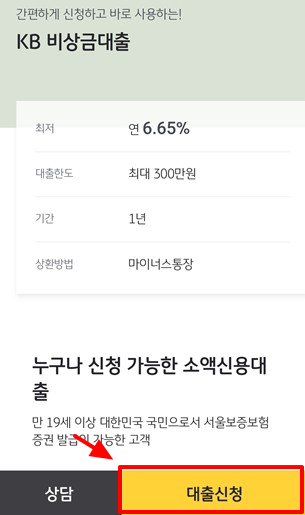 국민은행-KB비상금대출-신청방법