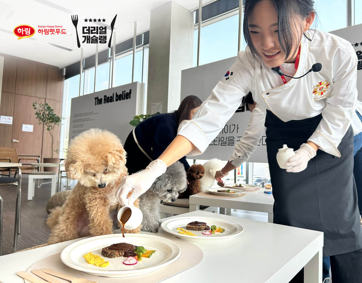 오늘N 오늘 대(大)공개 충남 공주 반려동물 사료 공장 하림펫푸드 해피댄스스튜디오(HDS) 투어 예약방법 오늘N 2495회