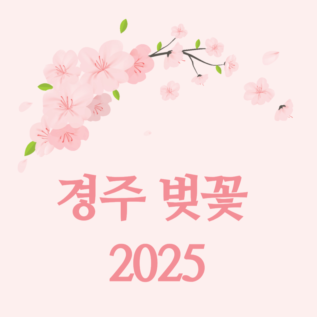 경주 벚꽃 개화시기 2025|만개시기 & 축제 일정 한눈에 정리!