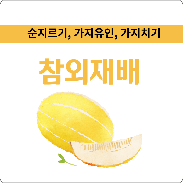 참외 재배 방법