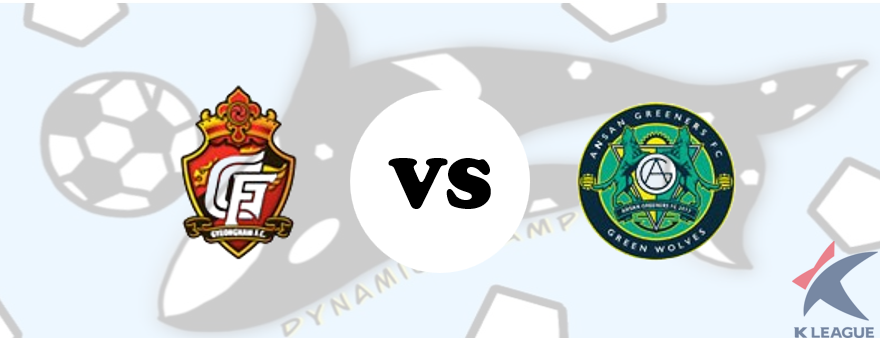 경남 VS 안산