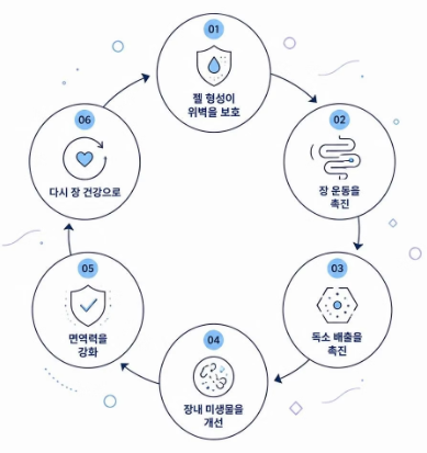 오트밀 효능