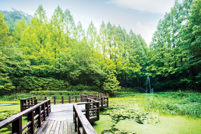 장태산 자연휴양림 예약 