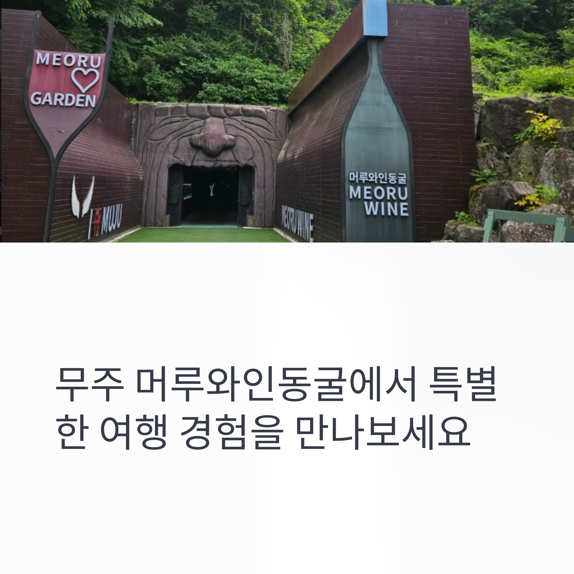 무주 머루와인동굴에서 특별한 여행 경험을 만나보세요