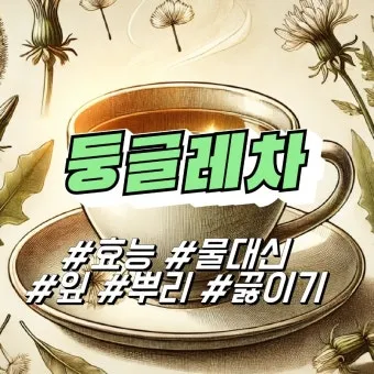 둥글레차 효과 건강에 좋은 차 효능 정리_19