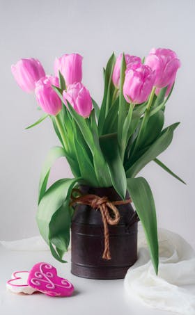 태안 튤립축제 기간, 입장료, 여행코스, 맛집 총정리