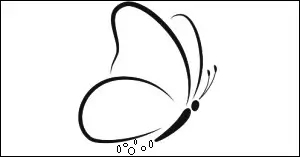 나비가 알을 낳는꿈