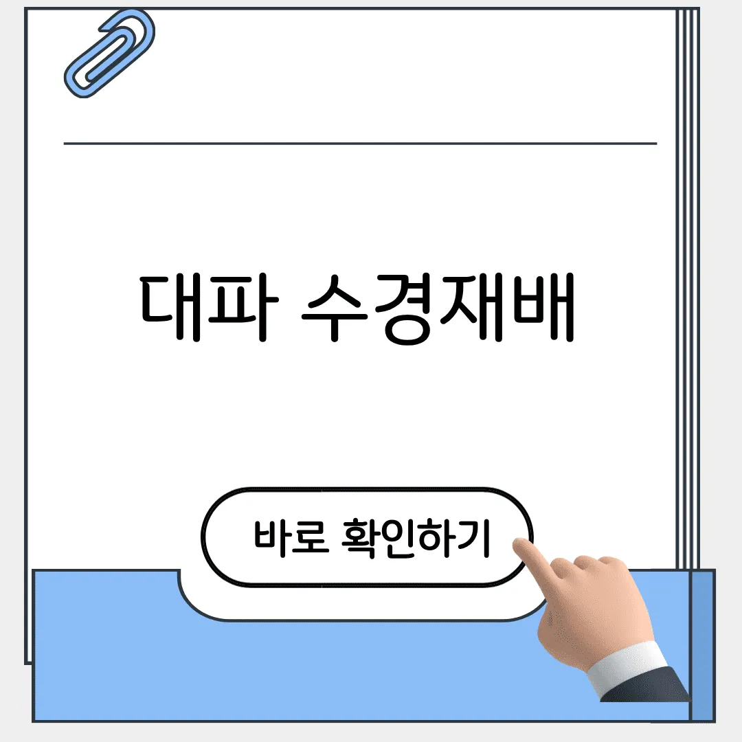 대파 수경재배