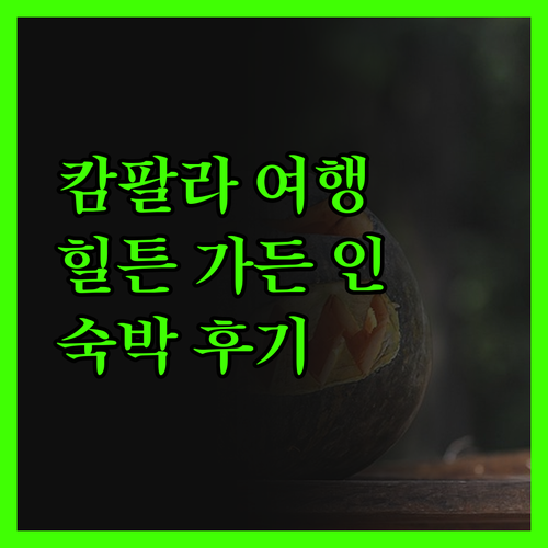 힐튼 가든 인 캄팔라 숙박 후기! 캄