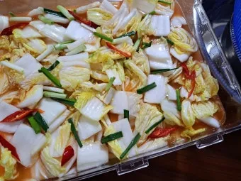 배추물김치 담그는 황금레시피와 알배추 손질법 소개_14
