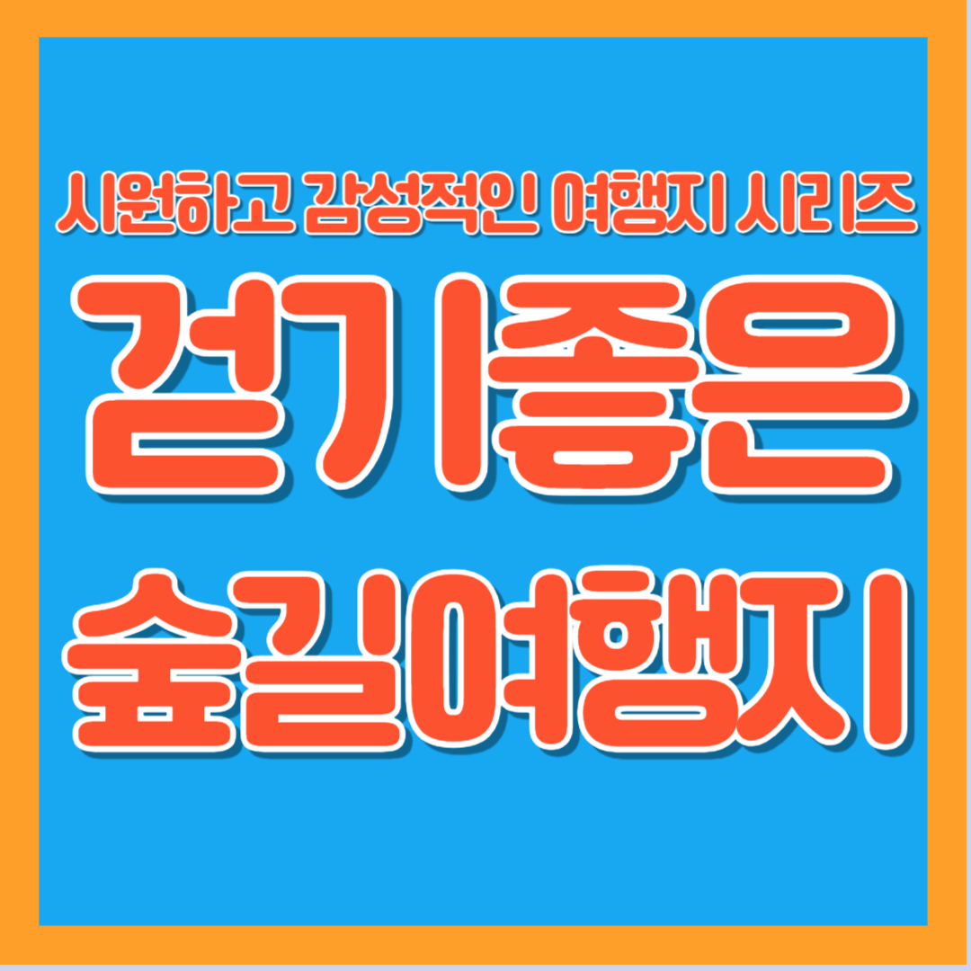 걷기좋은 숲길여행지