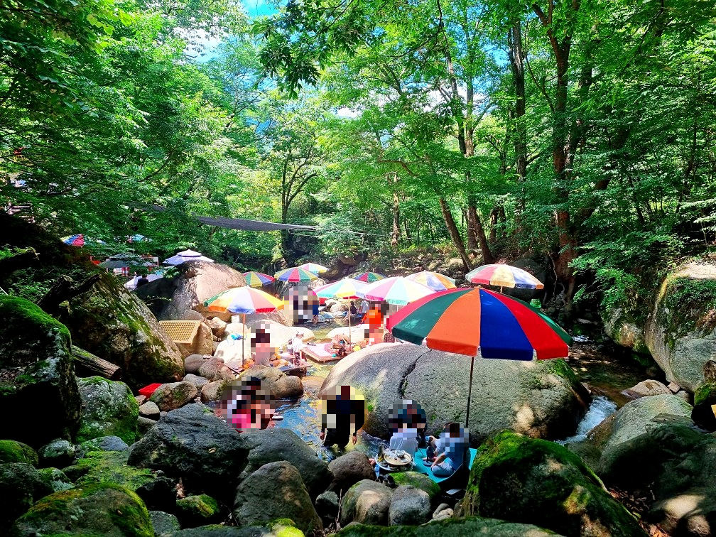 지리산 하동 쌍계사 계곡 신진식당 옆 신흥식당: 계곡 물놀이&amp;#44; 발 담그고 백숙 먹기