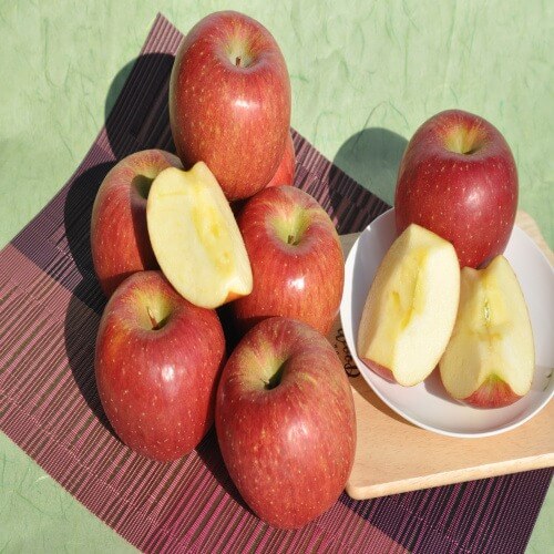 오늘N 2508회 가족이 뭐길래 경북 의성 토종마늘 농가 한톨 (의성한지형마늘, 깐마늘, 마늘쫑, 의성사과 주문방법)