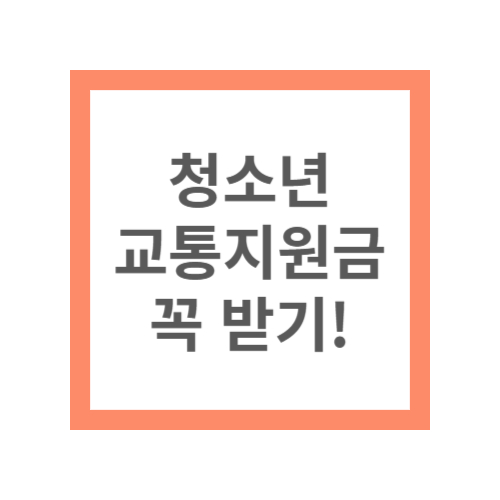 청소년 교통지원금