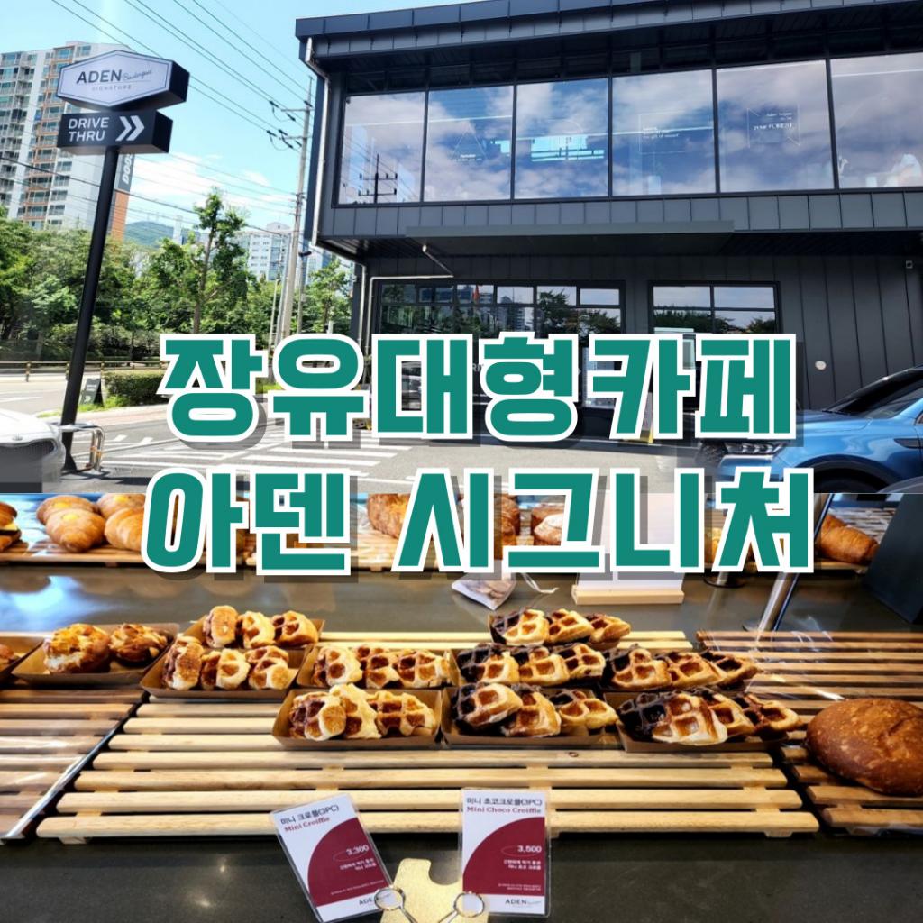 아덴 시그니처 장유점