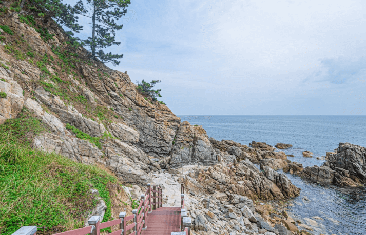 죽도섬