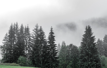 청와대 관람신청 한번에 해결 21