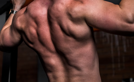 칼슘 영양제 : 근육