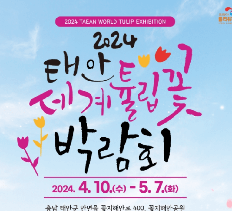 태안 안면도 튤립축제