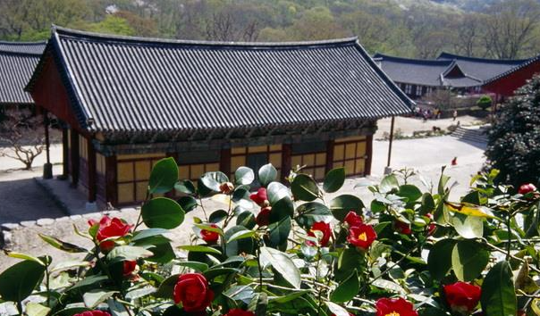 선운사