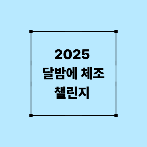 2025 달밤에 체조 챌린지