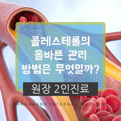 콜레스테롤 관리 방법 알아보기