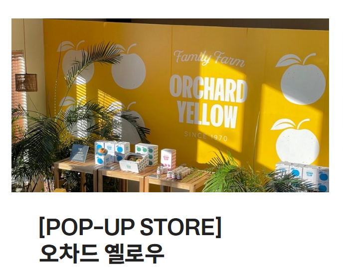 더현대 서울 4월 5월 팝업 스토어 일정 2024 (팝업 스토어 혜택, 이벤트)