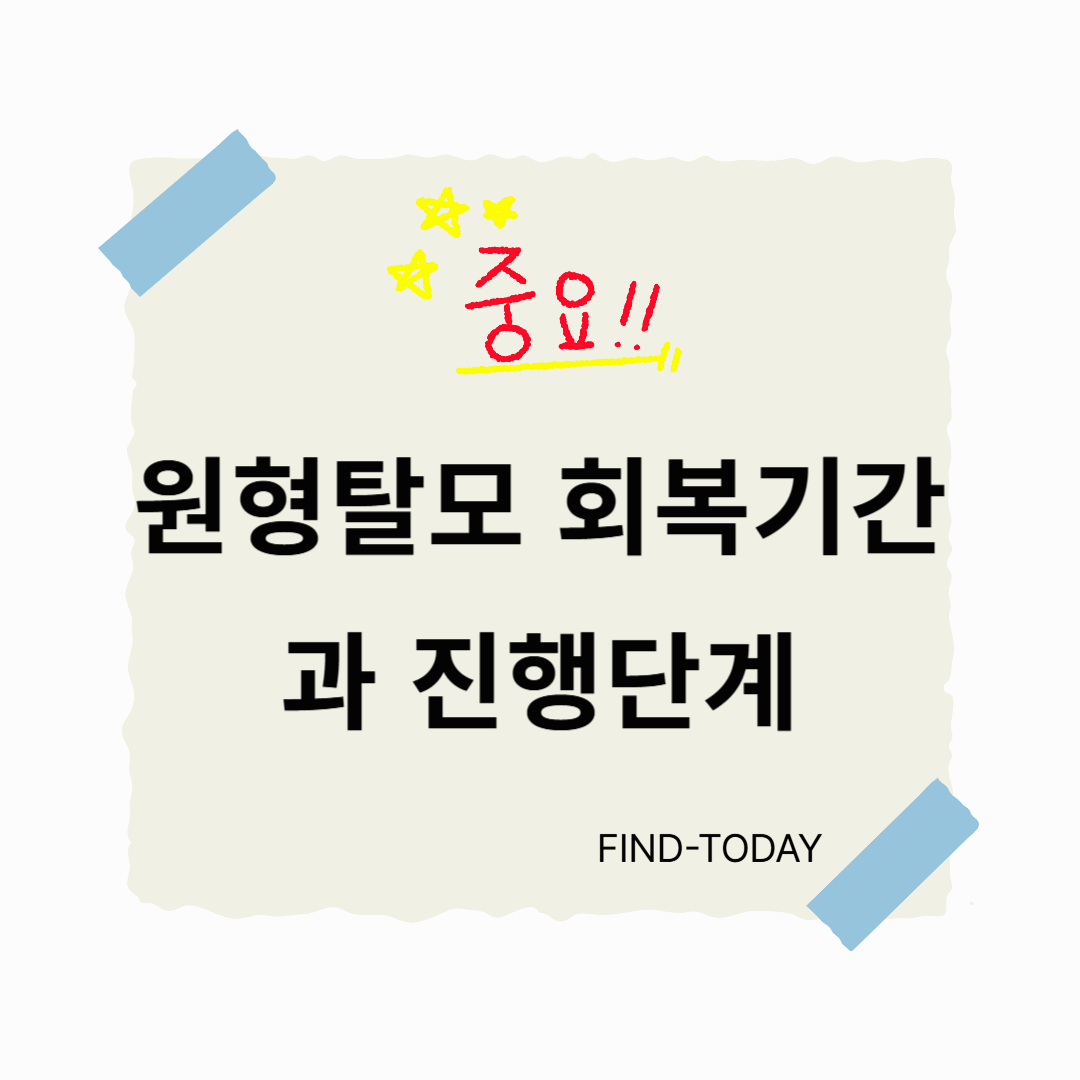 원형탈모 회복기간과 진행단계