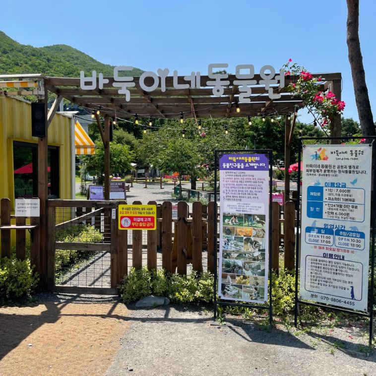 보령 가볼만한곳 베스트10 바둑이네동물원