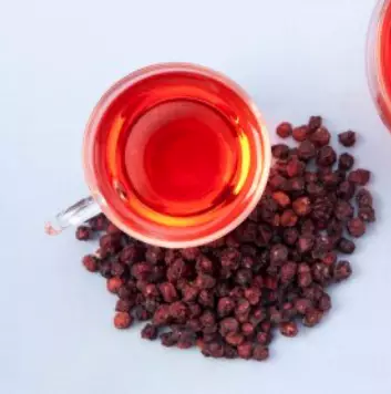 위염에-좋은-차-위염-증상-건강