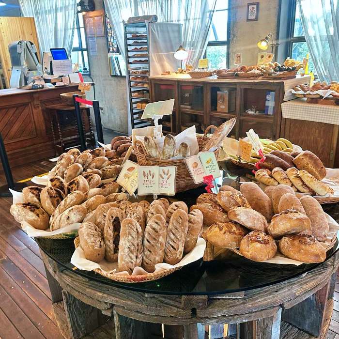 생방송 오늘저녁 산수유꽃축제 구례 빵지순례 우리 호밀 빵 맛집