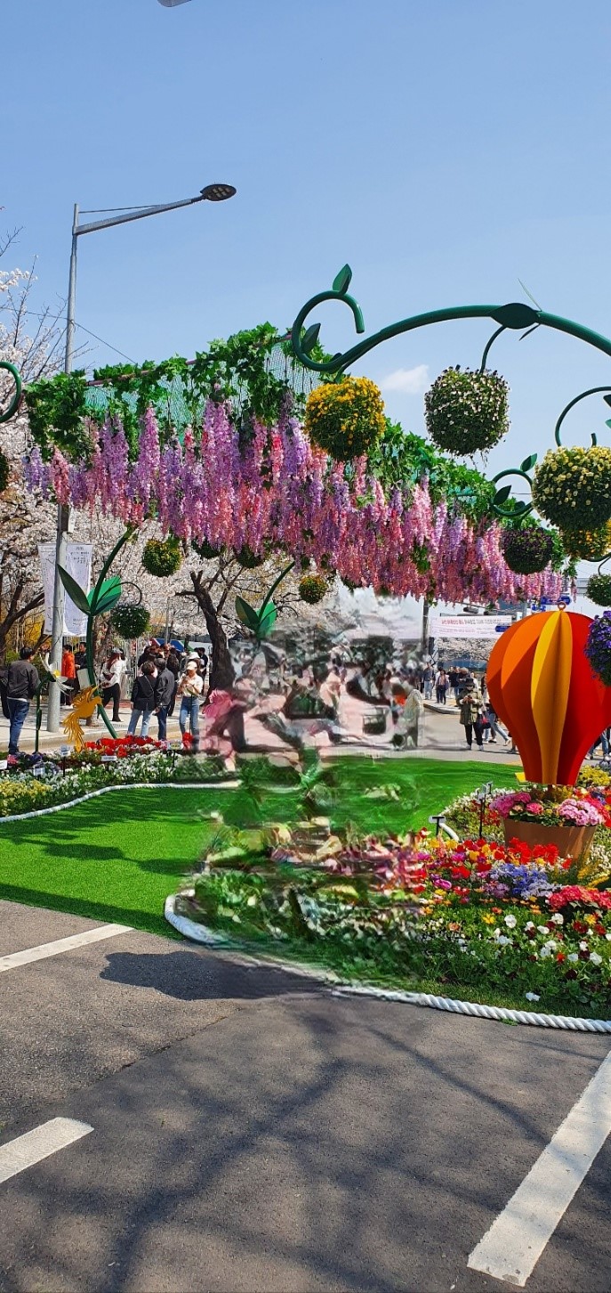 2026 벚꽃 개화시기 언제? 전국 명소 완벽 정리