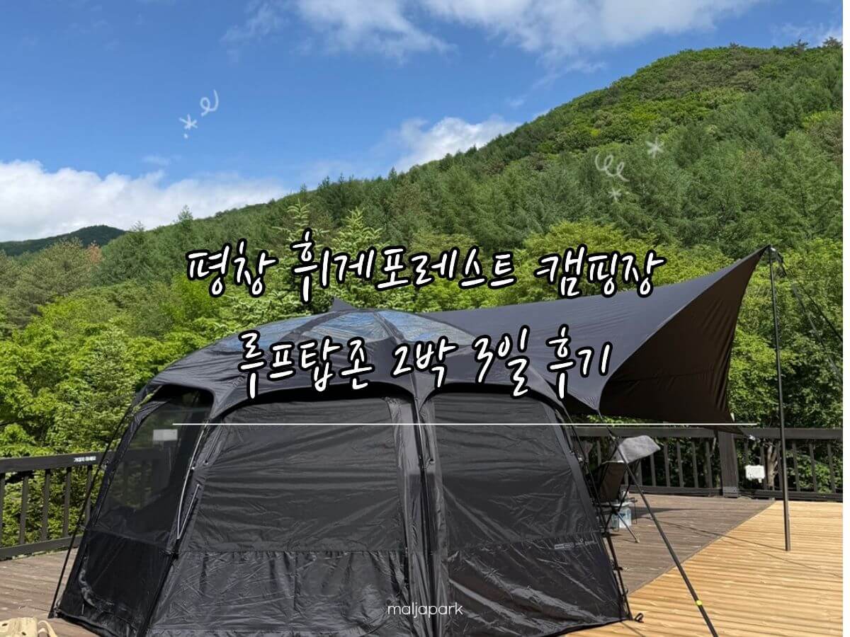 평창 휘게포레스트 캠핑장 루프탑존 2박 3일 후기