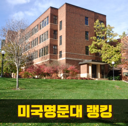 미국 명문대