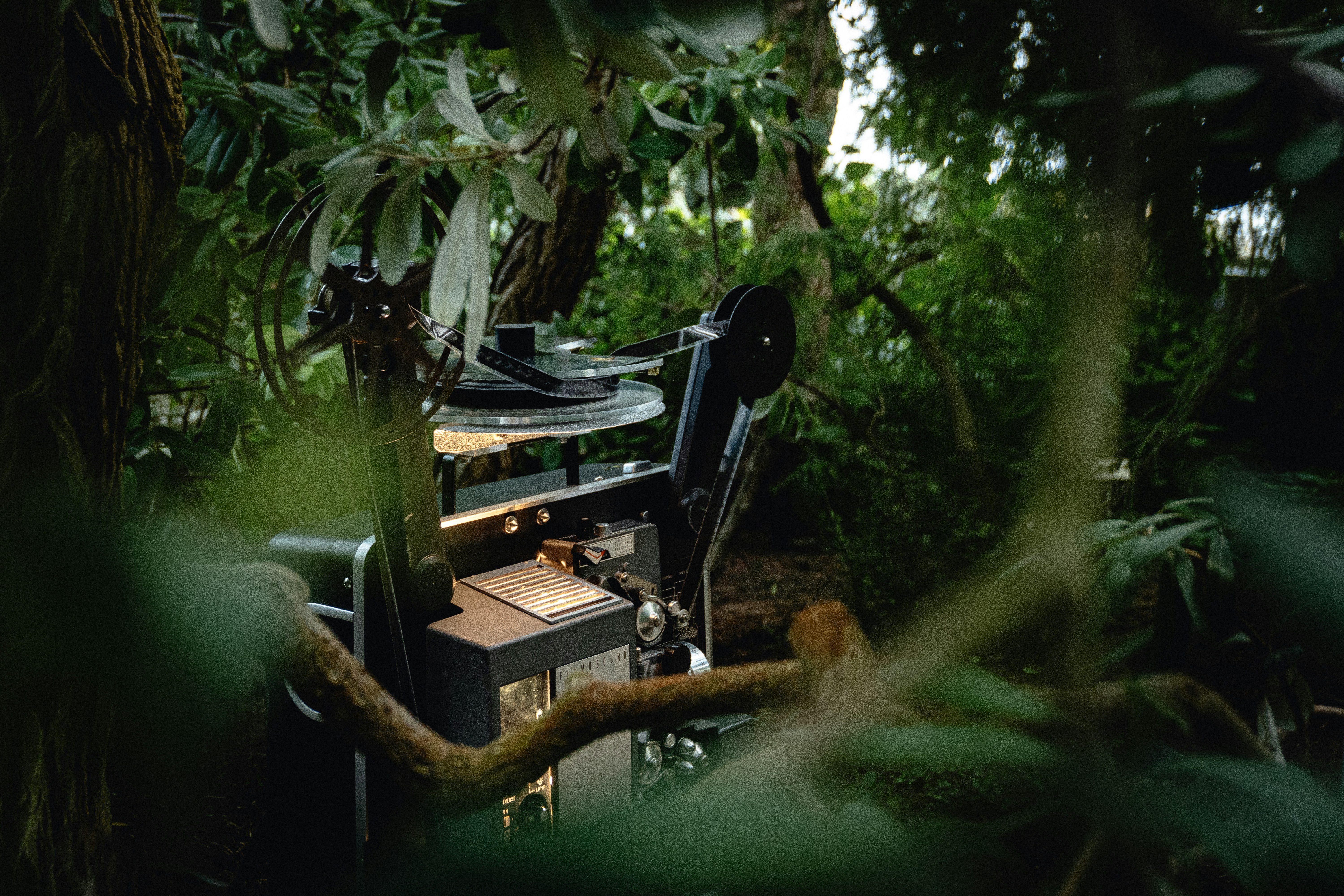 영화 촬영지, 어떻게 선정될까?