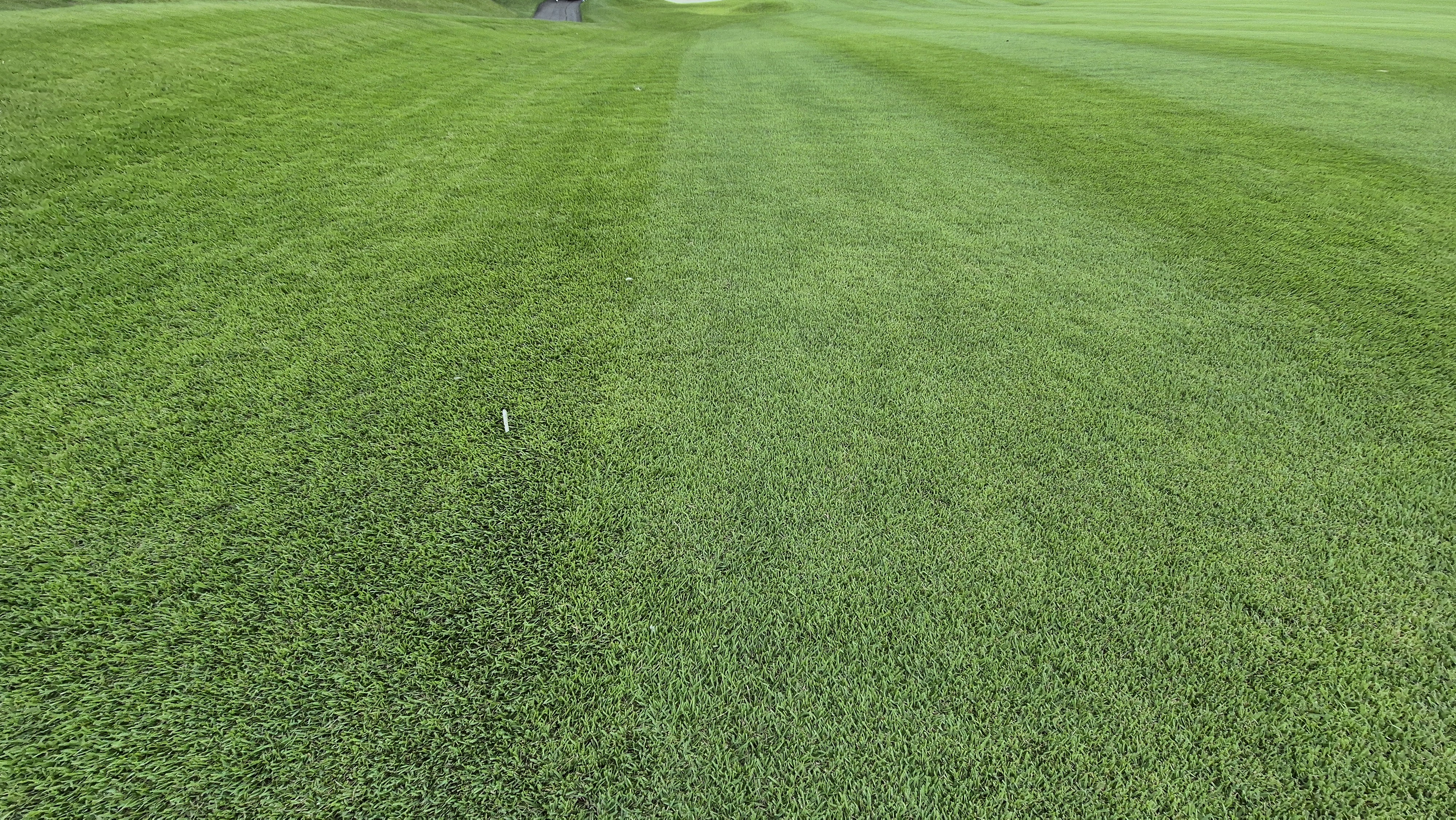 동원썬밸리cc 라운드 후기