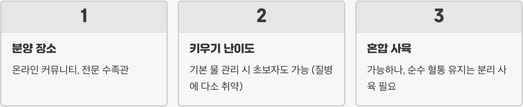 구피 종류 총정리 (알풀, EMB, 블루글라스 등 인기 TOP 10)